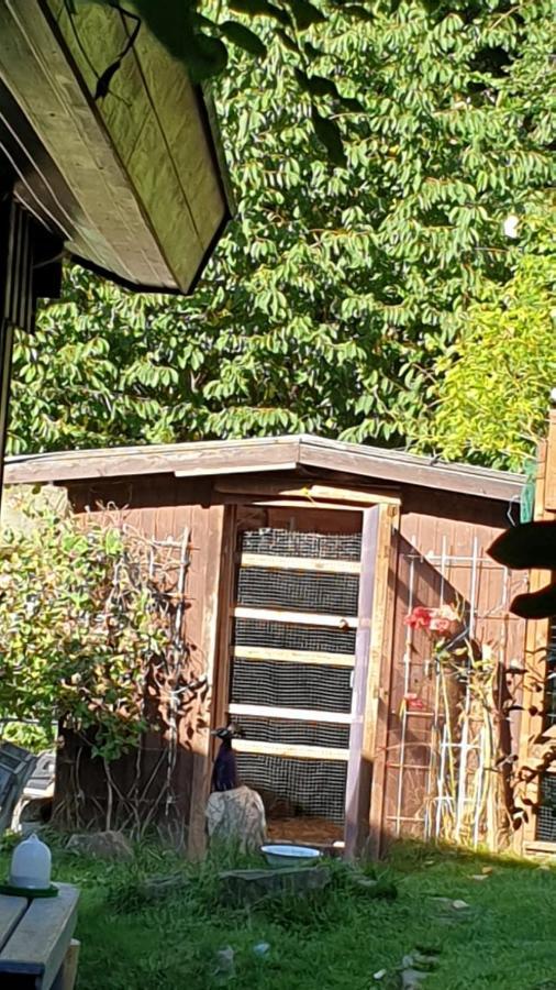 Ferienhaus Nr. 60 Im Ferienpark Am Twistesee Bad Arolsen Exteriör bild