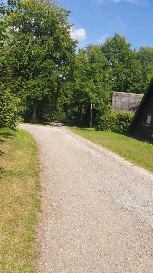 Ferienhaus Nr. 60 Im Ferienpark Am Twistesee Bad Arolsen Exteriör bild